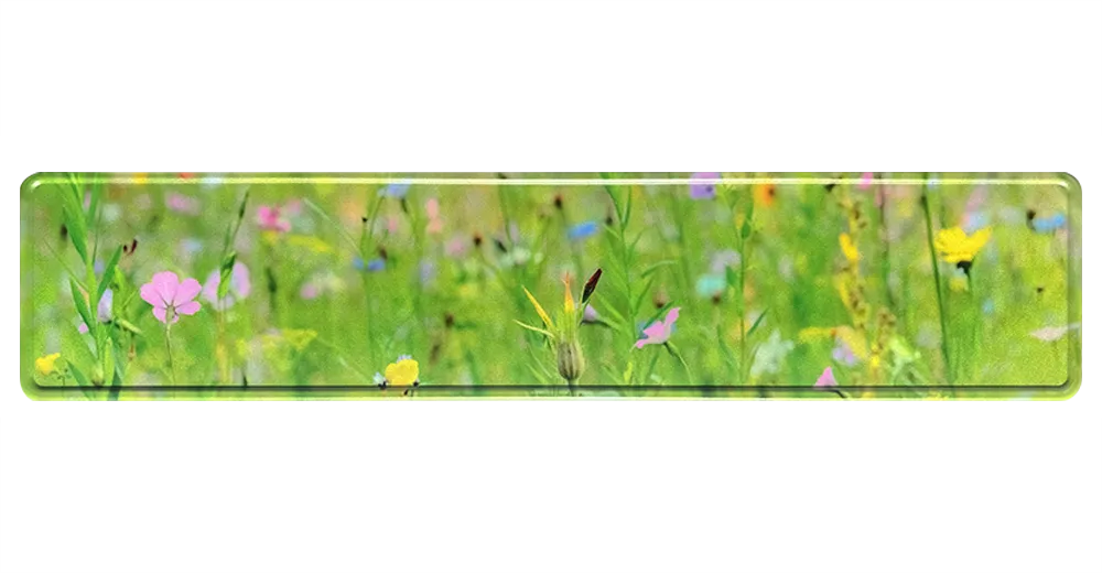 Blumen Fun-Kennzeichen