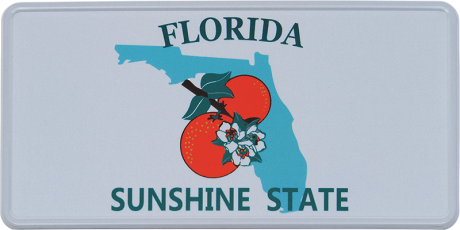 Florida Fun-Kennzeichen | USA-Nummernschild Reflektierend 300 x 150 mm