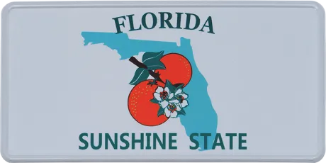 Florida Fun-Kennzeichen | USA-Nummernschild Reflektierend 300 x 150 mm