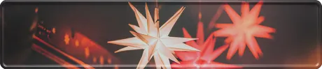 Fun-Kennzeichen Weihnachtsstern mit Wunschtext